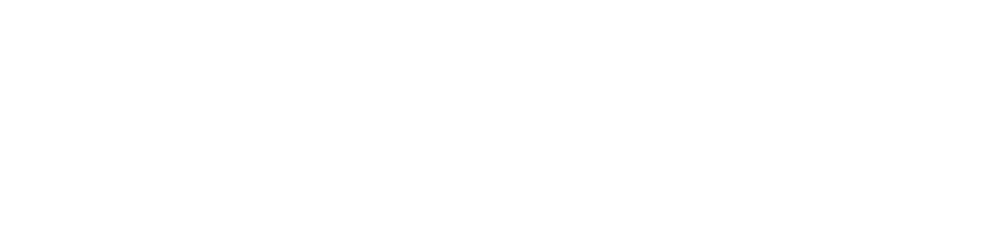 لیدی استایلshop Logo
