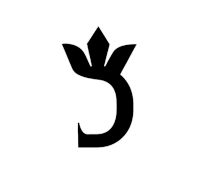شدوت شاپshop Logo